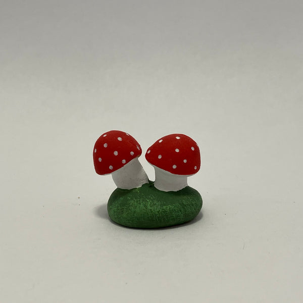 Champignons des bois