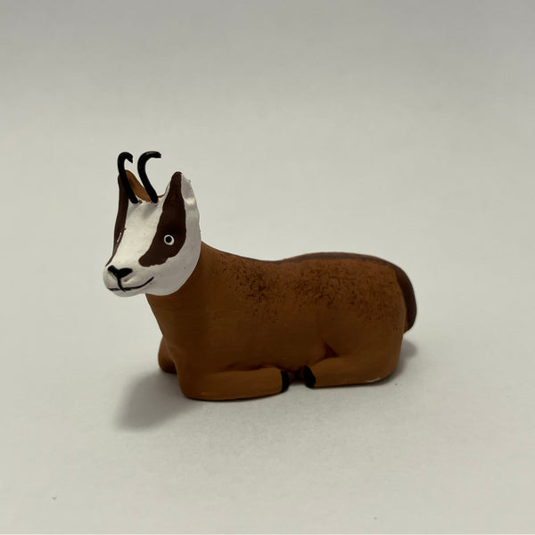 Chamois couché