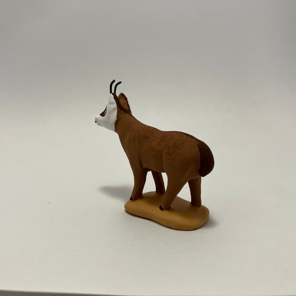 Chamois debout