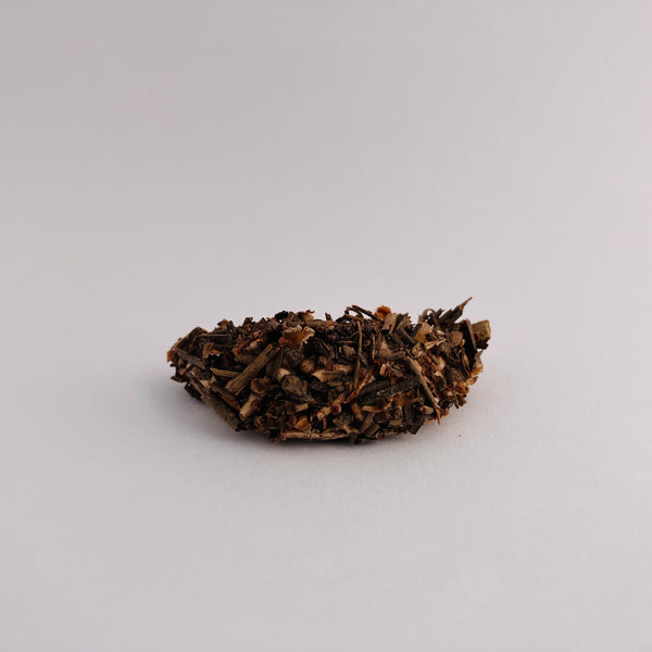 Castor: petit barrage