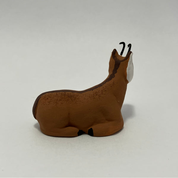 Chamois couché