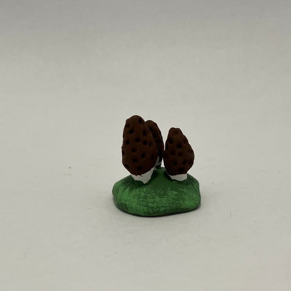 Champignons des bois
