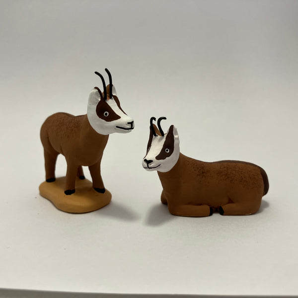Chamois debout