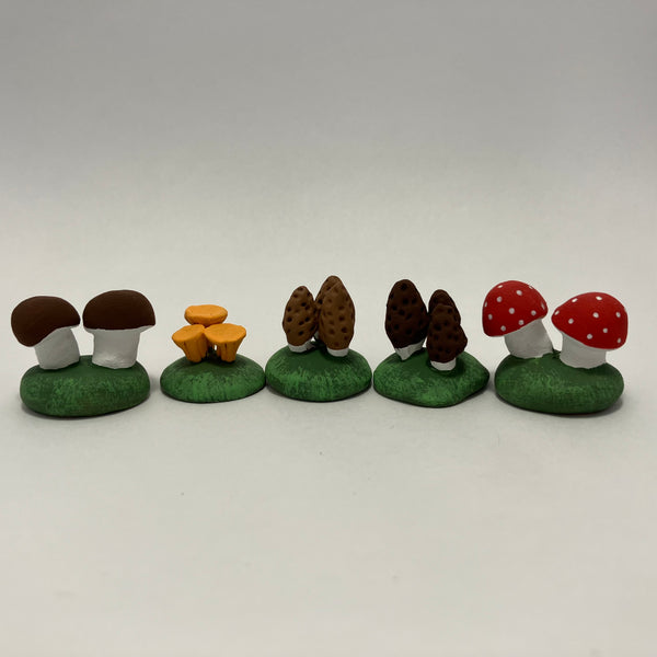 Champignons des bois